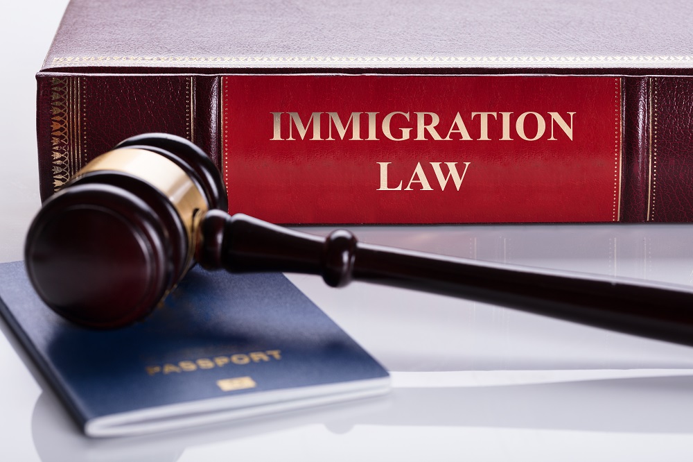 How Do Immigration Lawyers Work Complex Immigration Laws and Policies